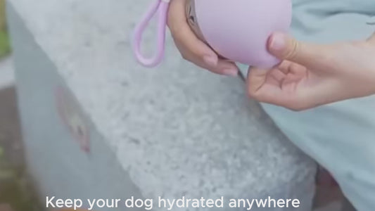 Furvello™ Travel Bottle